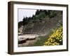 The Theatre, Delphi, Unesco World Heritage Site, Greece-Christina Gascoigne-Framed Photographic Print