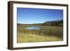 The Therbrennersee Lake on the Western Beach of Darss Peninsula-Uwe Steffens-Framed Photographic Print