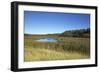 The Therbrennersee Lake on the Western Beach of Darss Peninsula-Uwe Steffens-Framed Photographic Print