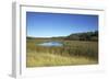 The Therbrennersee Lake on the Western Beach of Darss Peninsula-Uwe Steffens-Framed Photographic Print