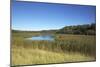 The Therbrennersee Lake on the Western Beach of Darss Peninsula-Uwe Steffens-Mounted Photographic Print