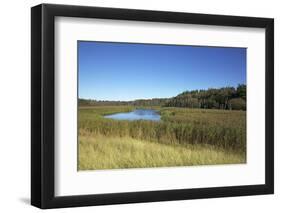 The Therbrennersee Lake on the Western Beach of Darss Peninsula-Uwe Steffens-Framed Photographic Print