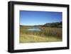 The Therbrennersee Lake on the Western Beach of Darss Peninsula-Uwe Steffens-Framed Photographic Print