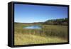 The Therbrennersee Lake on the Western Beach of Darss Peninsula-Uwe Steffens-Framed Stretched Canvas