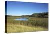 The Therbrennersee Lake on the Western Beach of Darss Peninsula-Uwe Steffens-Stretched Canvas