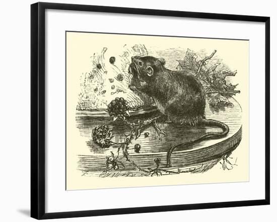 The Thievish Mouse-null-Framed Giclee Print
