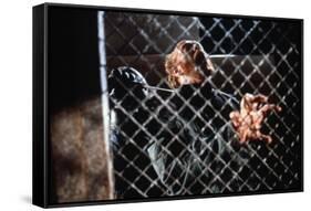 The Thing by JohnCarpenter avecPeter Maloney, 1982 (photo)-null-Framed Stretched Canvas