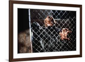 The Thing by JohnCarpenter avecPeter Maloney, 1982 (photo)-null-Framed Photo
