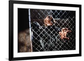 The Thing by JohnCarpenter avecPeter Maloney, 1982 (photo)-null-Framed Photo