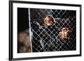 The Thing by JohnCarpenter avecPeter Maloney, 1982 (photo)-null-Framed Photo