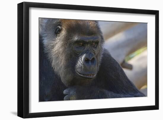 The Thinker-Susann Parker-Framed Photographic Print