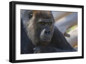 The Thinker-Susann Parker-Framed Photographic Print