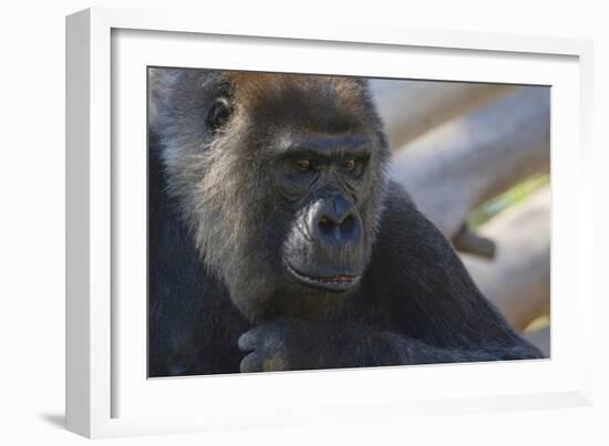 The Thinker-Susann Parker-Framed Photographic Print