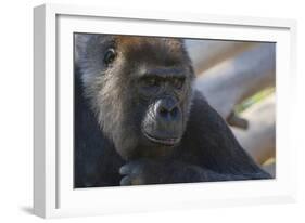 The Thinker-Susann Parker-Framed Photographic Print