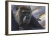 The Thinker-Susann Parker-Framed Photographic Print