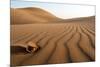 The Thirsty Desert.-Soheil Soheily-Mounted Photographic Print