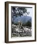 The Tholos, Delphi, Unesco World Heritage Site, Greece-Christina Gascoigne-Framed Photographic Print