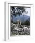 The Tholos, Delphi, Unesco World Heritage Site, Greece-Christina Gascoigne-Framed Photographic Print