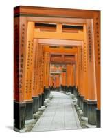 The ThoUSAnd Gates at Fushimi Inari Taisha, Kyoto, Japan-Rob Tilley-Stretched Canvas