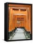 The ThoUSAnd Gates at Fushimi Inari Taisha, Kyoto, Japan-Rob Tilley-Framed Stretched Canvas