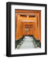 The ThoUSAnd Gates at Fushimi Inari Taisha, Kyoto, Japan-Rob Tilley-Framed Photographic Print