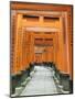 The ThoUSAnd Gates at Fushimi Inari Taisha, Kyoto, Japan-Rob Tilley-Mounted Photographic Print