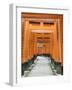 The ThoUSAnd Gates at Fushimi Inari Taisha, Kyoto, Japan-Rob Tilley-Framed Photographic Print