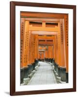 The ThoUSAnd Gates at Fushimi Inari Taisha, Kyoto, Japan-Rob Tilley-Framed Photographic Print