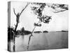 The Thousand Islands, St Lawrence River, Canada, 1893-John L Stoddard-Stretched Canvas