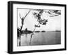 The Thousand Islands, St Lawrence River, Canada, 1893-John L Stoddard-Framed Giclee Print