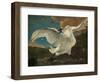 The Threatened Swan, before 1652-Jan Asselijn-Framed Giclee Print