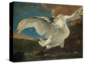 The Threatened Swan, before 1652-Jan Asselijn-Stretched Canvas