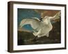 The Threatened Swan, before 1652-Jan Asselijn-Framed Giclee Print