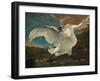 The Threatened Swan, before 1652-Jan Asselijn-Framed Giclee Print