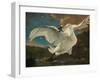 The Threatened Swan, before 1652-Jan Asselijn-Framed Giclee Print