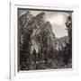The Three Brothers, Yosemite Valley, California, USA, 1902-Underwood & Underwood-Framed Photographic Print
