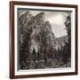 The Three Brothers, Yosemite Valley, California, USA, 1902-Underwood & Underwood-Framed Photographic Print