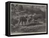 The Three Brothers-Rosa Bonheur-Framed Stretched Canvas