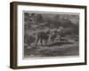 The Three Brothers-Rosa Bonheur-Framed Giclee Print