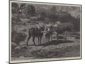 The Three Brothers-Rosa Bonheur-Mounted Giclee Print