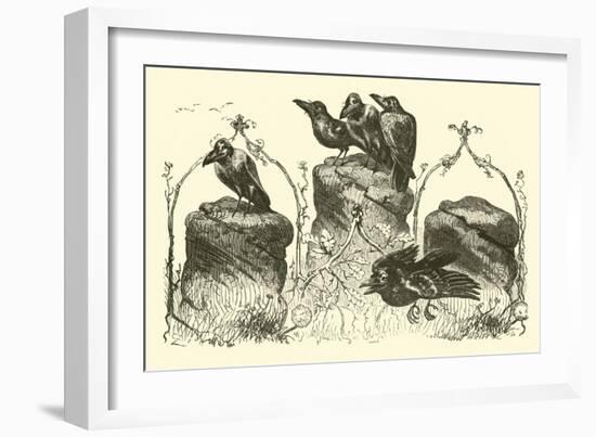 The Three Crows-null-Framed Giclee Print