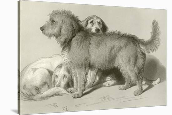 The Three Dogs-Edwin Henry Landseer-Stretched Canvas