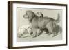 The Three Dogs-Edwin Henry Landseer-Framed Giclee Print