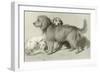 The Three Dogs-Edwin Henry Landseer-Framed Giclee Print