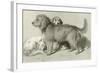 The Three Dogs-Edwin Henry Landseer-Framed Giclee Print