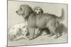 The Three Dogs-Edwin Henry Landseer-Mounted Giclee Print