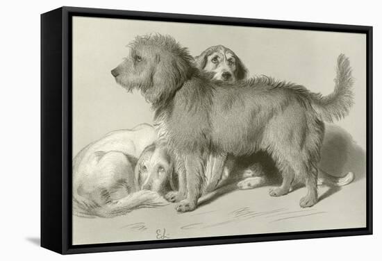 The Three Dogs-Edwin Henry Landseer-Framed Stretched Canvas