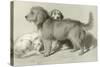 The Three Dogs-Edwin Henry Landseer-Stretched Canvas