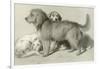 The Three Dogs-Edwin Henry Landseer-Framed Giclee Print