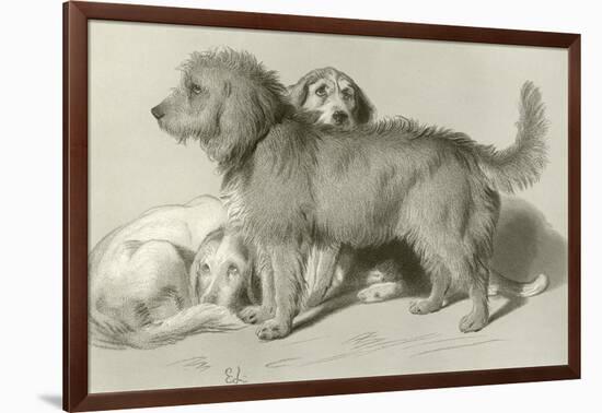 The Three Dogs-Edwin Henry Landseer-Framed Giclee Print